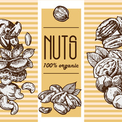 Wall Mural - Nuts set sketch style food illustrations. Hand drawn beautiful pictures