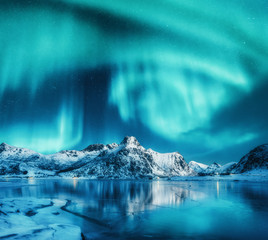 Wall Mural - aurora borealis above snowy mountains, frozen sea coast and reflection in water in lofoten islands, 