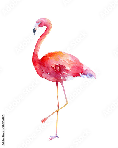 Watercolor pink flamingo on white background Poster Mural XXL