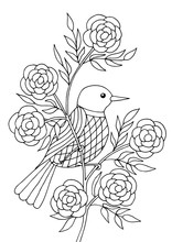 Bird Sitting On A Branch, Coloring Page