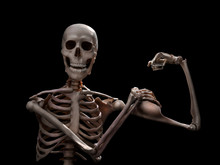 Funny Muscle Skeleton After Workout