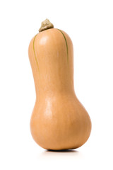 fresh butternut squash