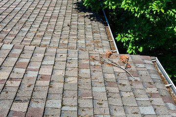 View from rooftop of asphalt roof shingles and gutter filled with tree debris, large tree in background, time for gutter cleaning