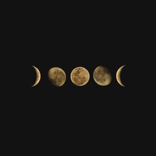  Moon Phases