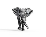 Fototapeta Fototapeta z zebrą - Elephant be different