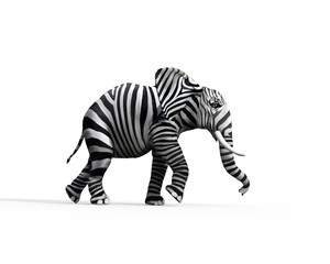 elephant be different