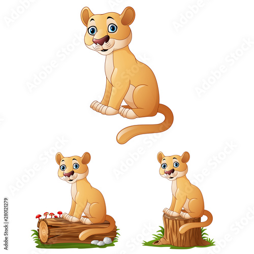 cartoon pictures of a lioness