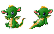 Cartoon Baby Dragon Sitting Collections