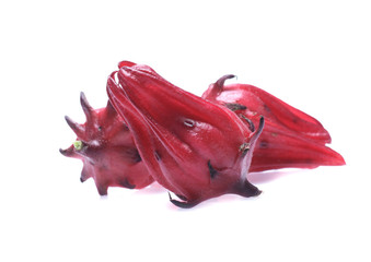 Roselle fruits  isolated on white