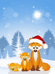 Poster - red fox at Christmas