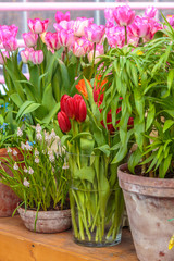 Wall Mural - Flowers in green house. Floral bouquet shop. Blooming plants and multi color flowers inside a garden center