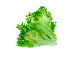 Fresh lettuce leaves isolated on white background