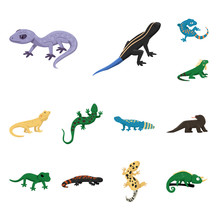 Isolated Object Of Animal And Reptile Symbol. Collection Of Animal And Nature Vector Icon For Stock.