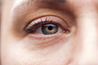 close up view of adult man eye with eyelashes and eyebrow looking at camera