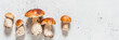 Wild Mushrooms, Porcini