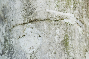 Texture of white brick wall. Stone background