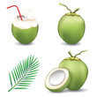 Fresh coconut water drink with green coconut and coconut leaf isolated on white background.