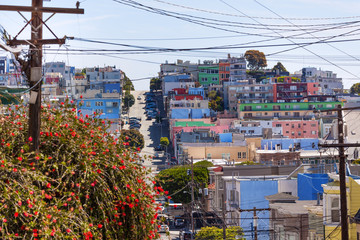 Wall Mural - Street and houses in San Francisco