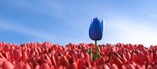3D Illustration Einzigartige Blaue Tulpe