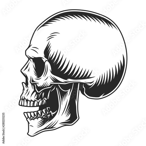 Human skull profile position