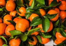 Close-up Of Oranges For Sale At An Open Market, Vietnam, Southeast Asia