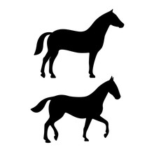Standing And Walking Horse Silhouette Icon