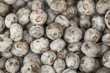 Sticker - a lot of blueberries top view , fruit texture