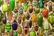 Insect color diversity (red, yellow, green, black)
