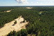 Aerial view of dunes with trees