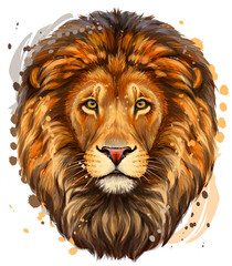 Wall Mural - lion. artistic, color profile portrait of a lion's head on a white background with watercolor splash