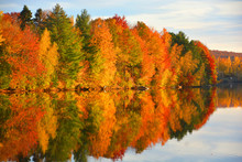 Fall Landscape Quebec Province Canada