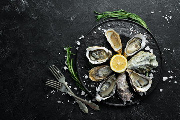 Fresh Oysters. Seafood. Top view. On a black background. Free copy space.