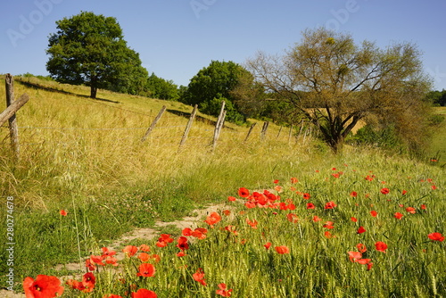 Paysage Campagne 496 Photo Stock Adobe Stock