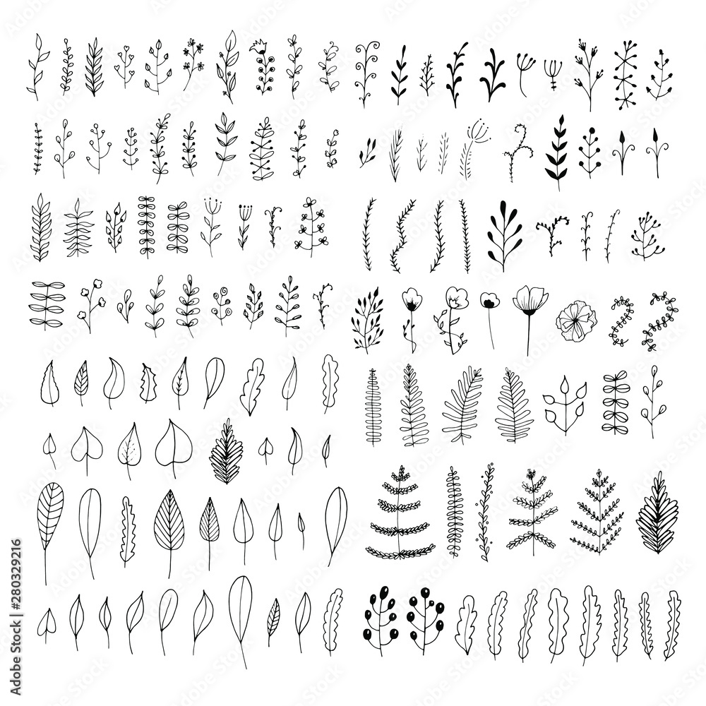Big vector collection of flower ornament dividers isolated on white background. Hand drawn floral decoration and sketch leaves - obrazy, fototapety, plakaty 