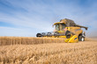 Moisson de blé dans le Vexin français en juillet 2019 /Wheat harvest in Vexin  July 2019