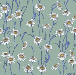 Wall Mural - Flower pattern with daisies. Vector seamless pattern for fabric.