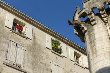 Canvas Print - Détail et gargouille du Pilori à Niort