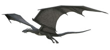 3D Rendered Fantasy Dragon Isolated On White Background - 3D Illustration