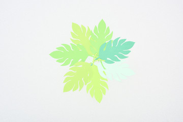 top view of green paper cut tropical leaves isolated on white with copy space