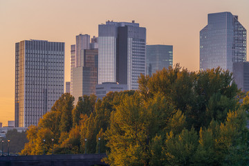 Wall Mural - Frankfurt am Main Downtown Cityscape