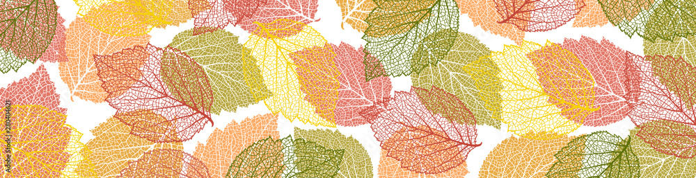 Autumn  background with leaves. Nature banner. Frame with plants. Bright template  - obrazy, fototapety, plakaty 