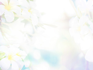 Wall Mural - Floral abstract pastel background with copy space.