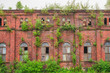 Alte Fabrik mit natürlicher Fassadenbegrünung