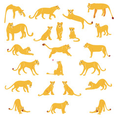 Aufkleber - Vector hand drawn flat lions set