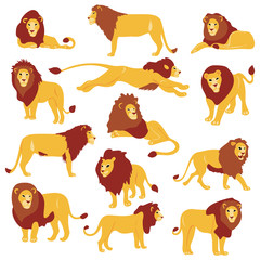 Aufkleber - Vector hand drawn flat lions set