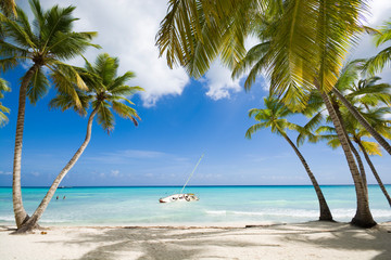 Tropical beach in Caribbean sea, Saona island, Dominican Republic