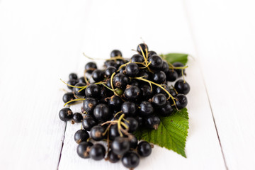 Wall Mural - black currant berries lie on a white table, the harvest in agriculture