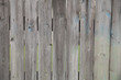 © bdrvoloshin - Textured old painted wooden plank background.