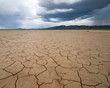 USA, Nevada, Lincoln County, Basin and Range National Monument. Cracks in the clay rich mud at Coal Valley Dry Lake Bed during a summer monsoon rain 