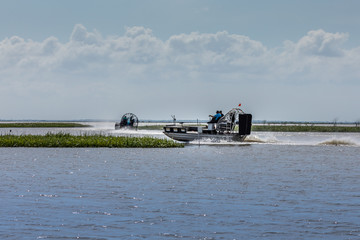 Wall Mural - Everglades airboat ride in South Florida, National Park